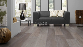 Kronotex Mammut Plus d4738 Дуб Северный фото 2 | FLOORDEALER