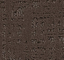 Ковролин Balsan Tao 760 фото 1 | FLOORDEALER