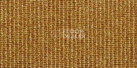 Ковролин Condor Carpets Pablo 211 фото 1 | FLOORDEALER