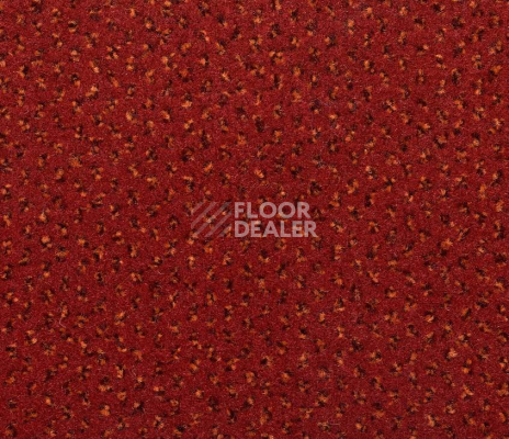 Ковролин Big Venezia 440 фото 1 | FLOORDEALER