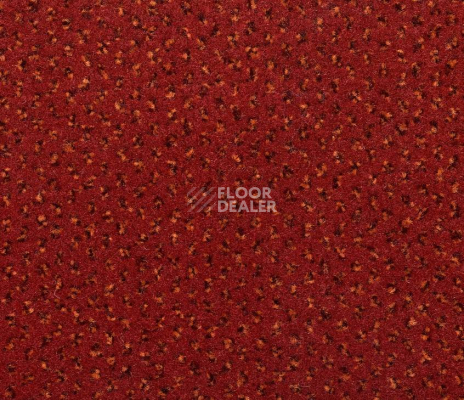 Ковролин Big Venezia 440 фото 1 | FLOORDEALER