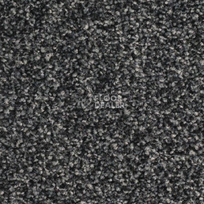 Ковролин Balsan Script 995 фото 1 | FLOORDEALER