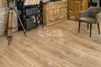 Alpine Floor Ultra 2мм Камфора ЕСО 5-31 фото 3 | FLOORDEALER
