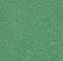 Линолеум Forbo Marmoleum Sport 83288 dark green фото 1 | FLOORDEALER