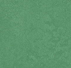 Линолеум Forbo Marmoleum Sport 83288 dark green фото 1 | FLOORDEALER