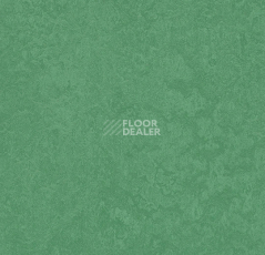 Линолеум Forbo Marmoleum Sport 83288 dark green фото 1 | FLOORDEALER