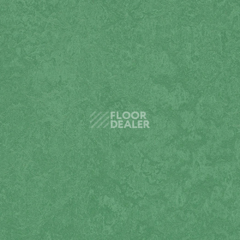 Forbo Marmoleum Sport 83288 dark green фото 1 | FLOORDEALER