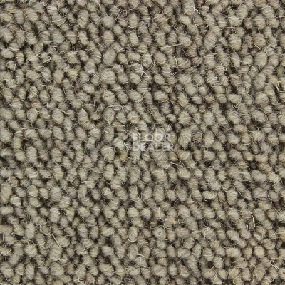 Ковролин Edel Lawrence 219 фото 1 | FLOORDEALER