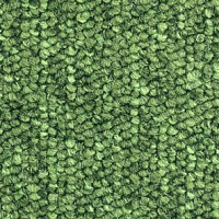 Ковролин Balsan Santa Fe DD Santa Fe dd 250 фото 1 | FLOORDEALER