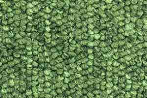 Ковролин Balsan Santa Fe DD Santa Fe dd 250 фото  | FLOORDEALER