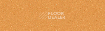 Линолеум Tarkett Tempo Plus 1011 фото 1 | FLOORDEALER