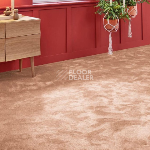 Vorwerk Superior 1067 Mira Vorwerk 1n53 фото 2 | FLOORDEALER