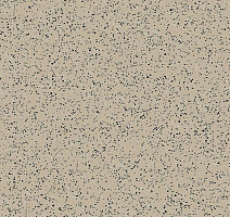 Линолеум Polyflor Polysafe Standard Pur 4600 фото 1 | FLOORDEALER