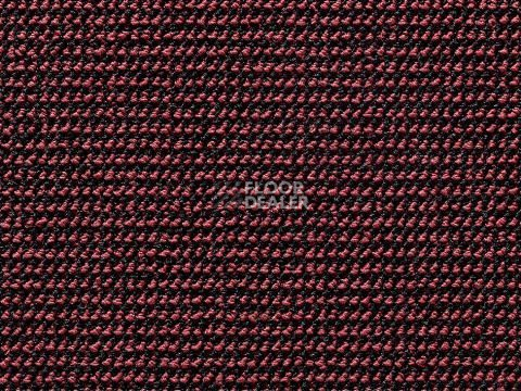 Ковролин e-check 17 фото 1 | FLOORDEALER