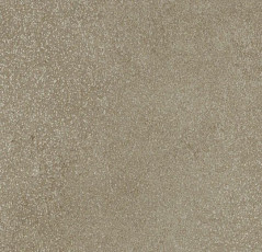 Линолеум Forbo SureStep Stone 17352 taupe speckled фото 1 | FLOORDEALER