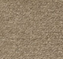 Ковролин Emphatic Beaulieu of America 56742 фото 1 | FLOORDEALER