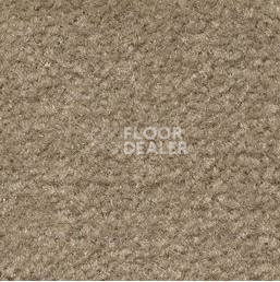 Ковролин Emphatic Beaulieu of America 56742 фото 1 | FLOORDEALER