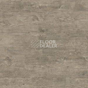 Линолеум Polyflor Camaro Wood 2232 фото 1 | FLOORDEALER