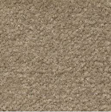 Ковролин Emphatic Beaulieu of America 56742 фото 1 | FLOORDEALER