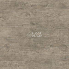 Линолеум Polyflor Camaro Wood 2232 фото 1 | FLOORDEALER