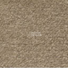Ковролин Emphatic Beaulieu of America 56742 фото 1 | FLOORDEALER