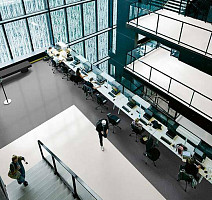 Forbo Sphera Evolution 50471 shaded silver white фото 3 | FLOORDEALER