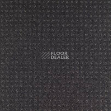 Ковролин Balsan Territoires Atrium 981 фото 1 | FLOORDEALER
