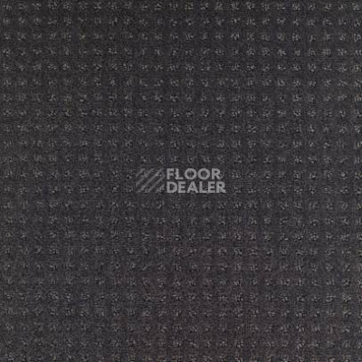 Ковролин Balsan Territoires Atrium 981 фото 1 | FLOORDEALER