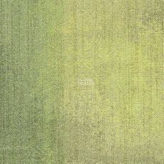 Milliken Culture Canvas wln 103-141 m фото 1 | FLOORDEALER