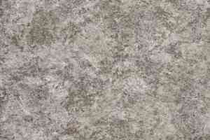 Линолеум Novoflor Extra Amos 3100-57 фото  | FLOORDEALER