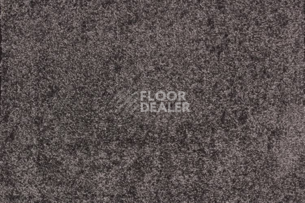 Ковролин Betap Tardi 78 фото 1 | FLOORDEALER