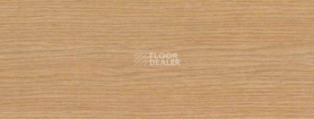 Плинтус Dollken EP 60/13 2388 фото 2 | FLOORDEALER