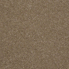 Ковролин Shaw Design Texture Platinum 771 фото 1 | FLOORDEALER