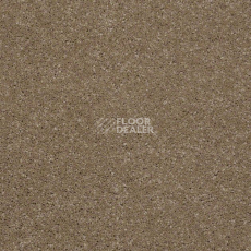 Ковролин Shaw Design Texture Platinum 771 фото 1 | FLOORDEALER
