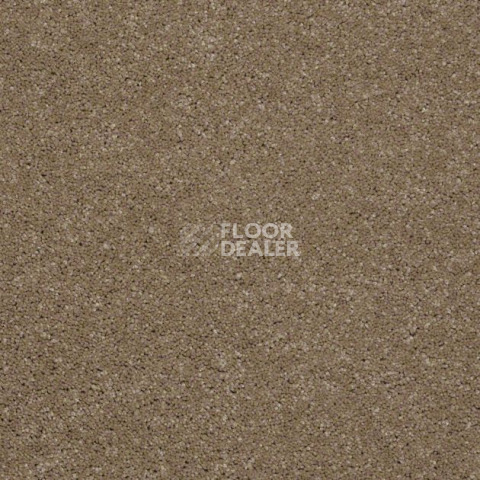 Ковролин Shaw Design Texture Platinum 771 фото 1 | FLOORDEALER