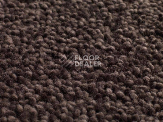 Ковролин Jacaranda Carpets Mayfield Ebony фото 1 | FLOORDEALER