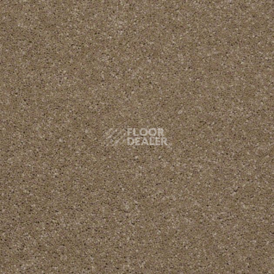 Ковролин Shaw Design Texture Platinum 771 фото 1 | FLOORDEALER