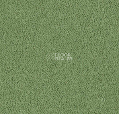 Ковровая плитка Westbond Ibond зеленая гамма 9429 фото 1 | FLOORDEALER