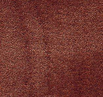 Ковролин AW Radiant 84 фото 1 | FLOORDEALER