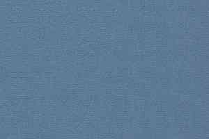 Ковролин Vorwerk Passion 1021 Vorwerk 3n98 фото  | FLOORDEALER