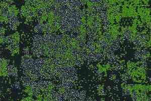 Ковровая плитка Nature 03 фото  | FLOORDEALER