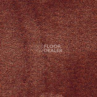Ковролин AW Radiant 84 фото 1 | FLOORDEALER