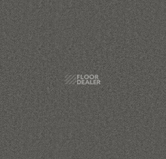 Ковролин Forbo Showtime Nuance 900201 фото 1 | FLOORDEALER