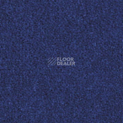 Ковролин Balsan Majestic 175 фото 1 | FLOORDEALER