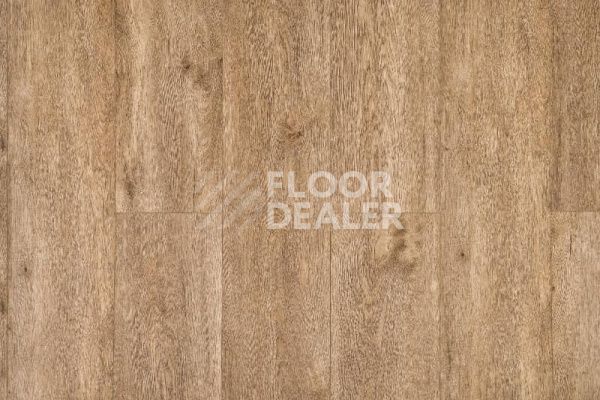 Виниловая плитка ПВХ Alpine Floor Grand Sequoia (1220x183) ГРАНД СЕКВОЙЯ МИНДАЛЬ ECO 11-6 фото 1 | FLOORDEALER