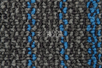 Neuflor Contours 2008-09 + Sapphire фото 2 | FLOORDEALER