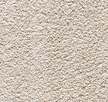 Ковролин Balta Pure Elegance Pure Elegance 0685 фото 1 | FLOORDEALER