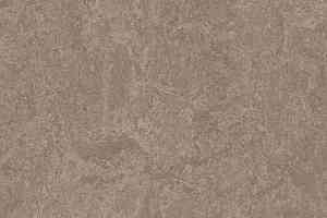 Линолеум Forbo Marmoleum Decibel 324635 shrike фото  | FLOORDEALER