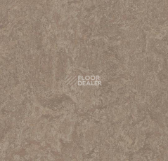 Линолеум Forbo Marmoleum Decibel 324635 shrike фото 1 | FLOORDEALER