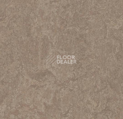 Линолеум Forbo Marmoleum Decibel 324635 shrike фото 1 | FLOORDEALER